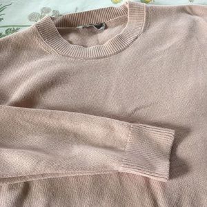 Everlane Cotton Crew Neck Sweater